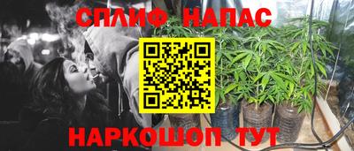 индика Кунгур