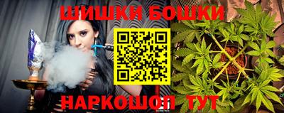 индика Кунгур